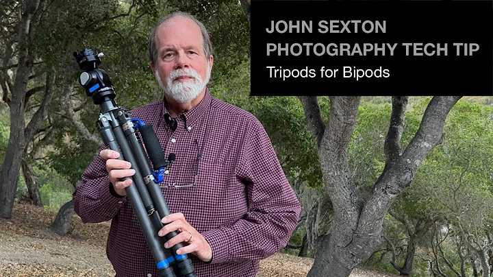 John Sexton Photo 34