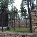 Jane Bills Photo 14