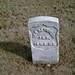 George Reynolds Photo 43