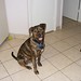 Rocky Kelley Photo 25