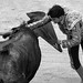Martin Lechuga Photo 30