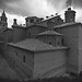 Miguel Alfaro Photo 39
