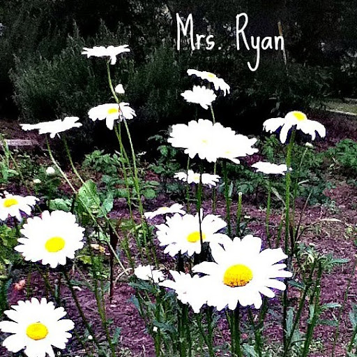 Valerie Ryan Photo 10