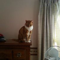 Lori Isenberg Photo 2