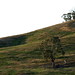 Peter Paddock Photo 20