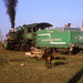 Orlando Gonzales Photo 45