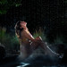 Rebecca Olsen Photo 39