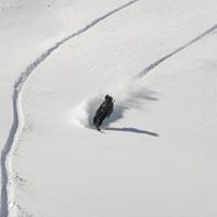 Jason Krebs Photo 6