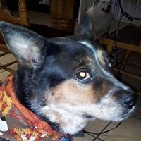 Susan Gilpin Photo 6
