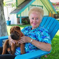 Judy Welch Photo 2