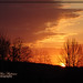 Daryl Pace Photo 24