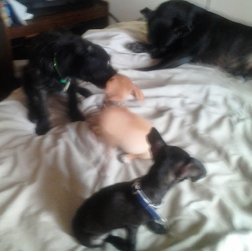 Marie Conley Photo 11