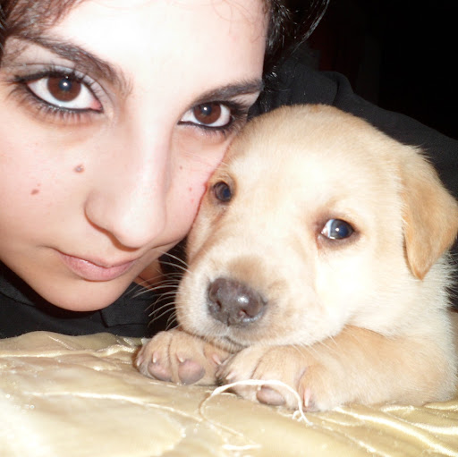 Brenda Dominguez Photo 15