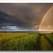 Lee Kerns Photo 22