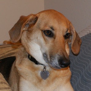 Joseph Hilburn Photo 6