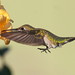 Mark Ruby Photo 36