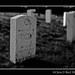Chris Donelson Photo 29