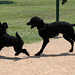 Floyd Bush Photo 26