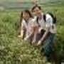 Lim Chin Photo 16