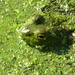 Carol Eakin Photo 22