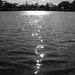 Scott Horrigan Photo 19