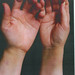 Donald Gottlieb Photo 13