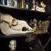 Lenore Fox Photo 22