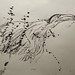 Ralph Hume Photo 17