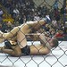 Eric Iwasaki Photo 14