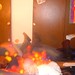 Timmy Ball Photo 27
