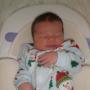 Michael Mayes Photo 26