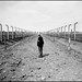 Luis Corrales Photo 41