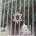 Saul Friedman Photo 32