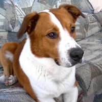 Buster Brown Photo 4