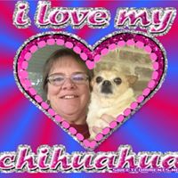 Sue Chaney Photo 6