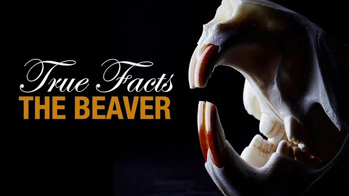 Frank Beaver Photo 17