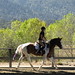 Jennifer Jumper Photo 31