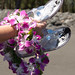 Diane Denny Photo 27