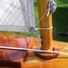 Dale Mccarthy Photo 38