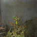 James Storch Photo 20