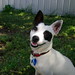 Jack Cosby Photo 29