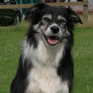 Larry Kelly Photo 13
