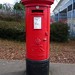 Steven Cowley Photo 42