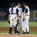 David Pitcher Photo 41