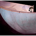 Jerry Smyth Photo 27