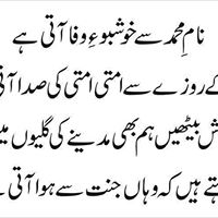 Shamim Akhtar Photo 3