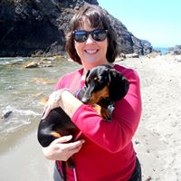 Sherri Costa Photo 3