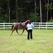 Vickie Young Photo 36