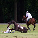 Peter Lewin Photo 30