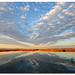 Robert Toler Photo 40